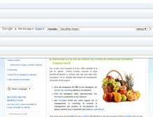 Tablet Screenshot of chapusconseil.com